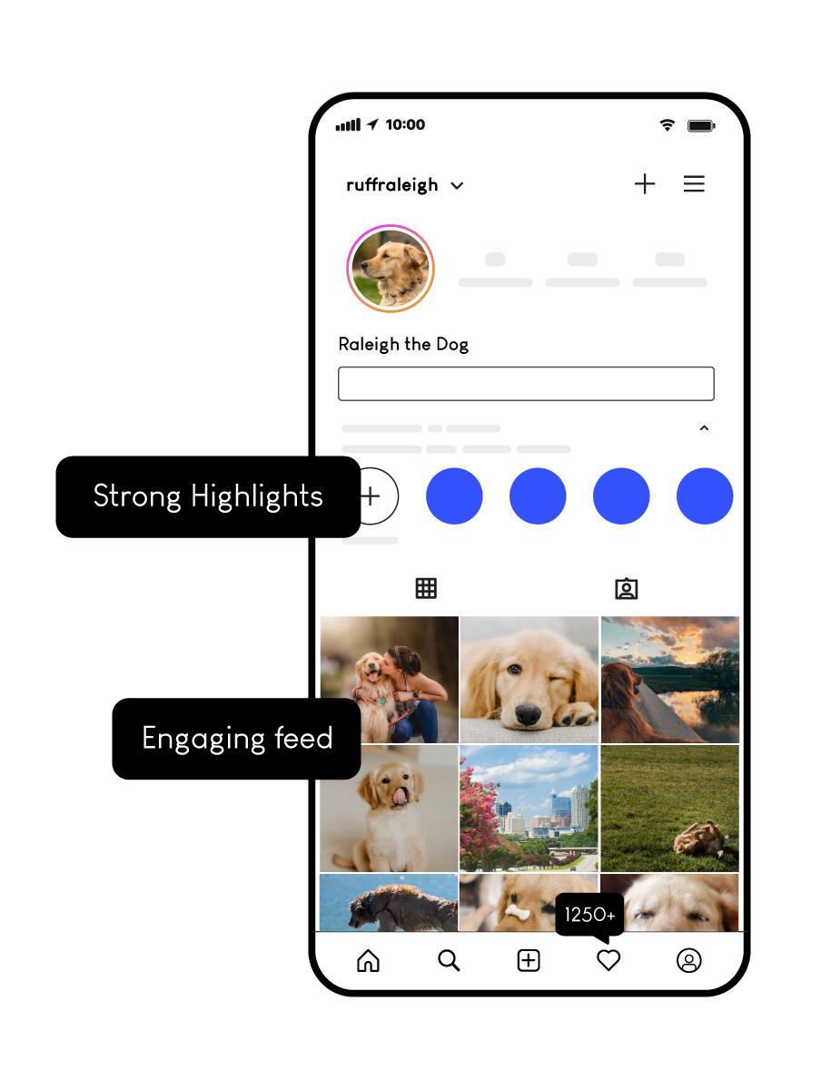 raleigh-the-dog-insta-famous-charlotte-nc-social-media social media marketing services Charlotte NC
